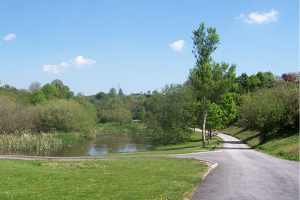 Glen River Park Run